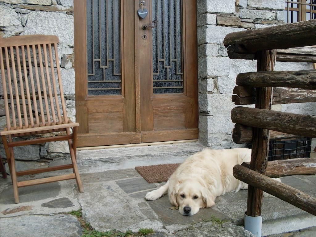 Agriturismo Da Attilio Cannobio Habitación foto